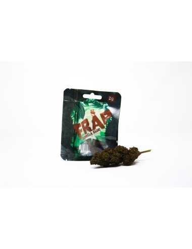 FRAP-Pochette Gorilla Glue 2Gr